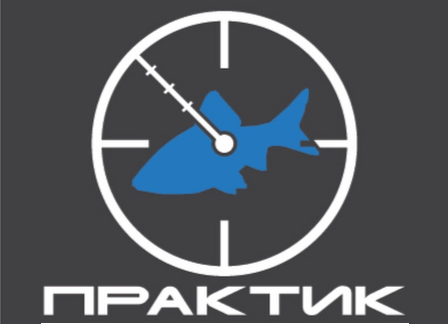 logo Практик.jpg